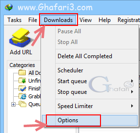 IDM-Downloads-Options